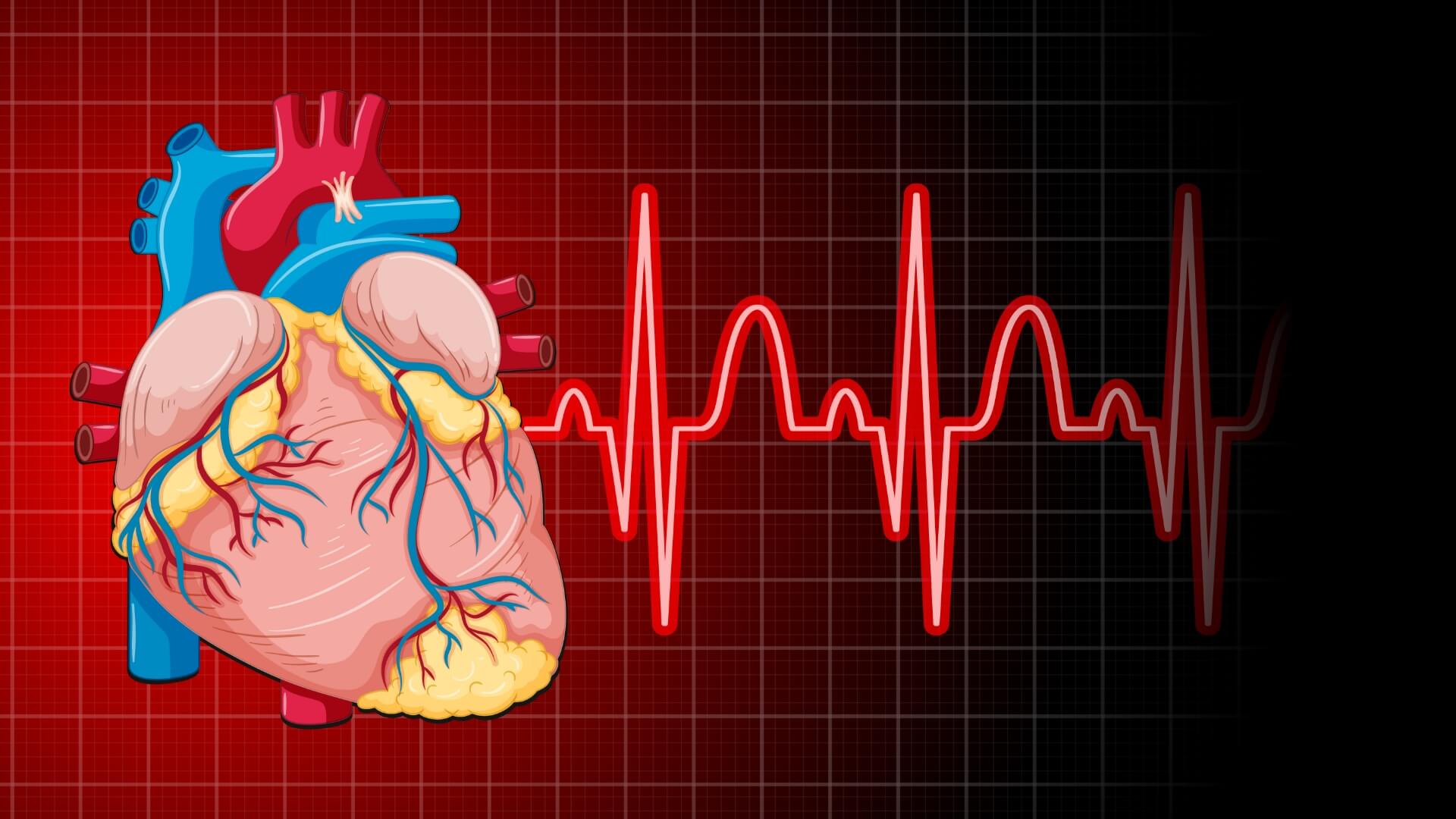 What Are the Shockable Heart Rhythms on an AED A Clear Guide for Emergencies | AED Total Solution