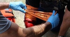 BleedStop Compact 100 Bleeding Wound-Trauma First Aid Kit11 BleedStop Compact 100 Bleeding Wound-Trauma First Aid Kit11